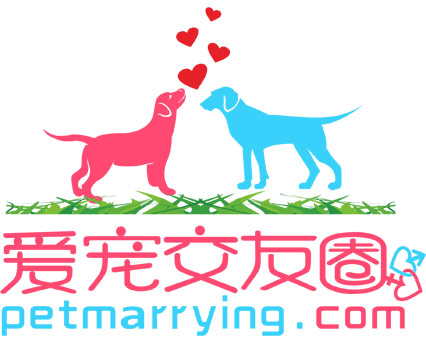 爱宠交友圈-中国最专业的宠物婚恋交友平台